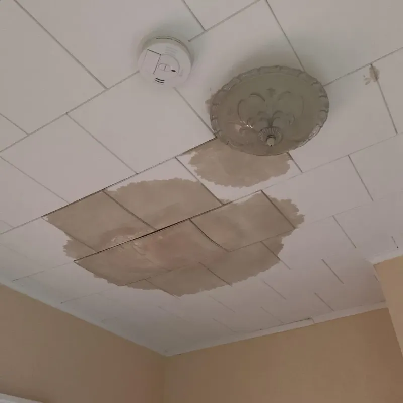 Ceiling Water Damage Repair in Brushy Creek, TX