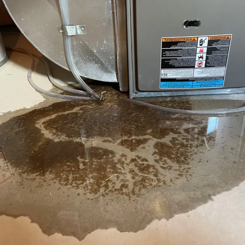 Pipe Burst and Leak Restoration in Brushy Creek, TX