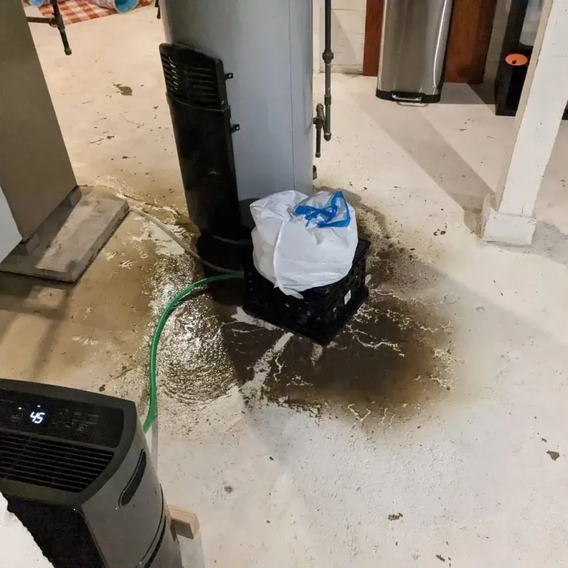 Sewage Backup Cleanup Service in Brushy Creek, TX